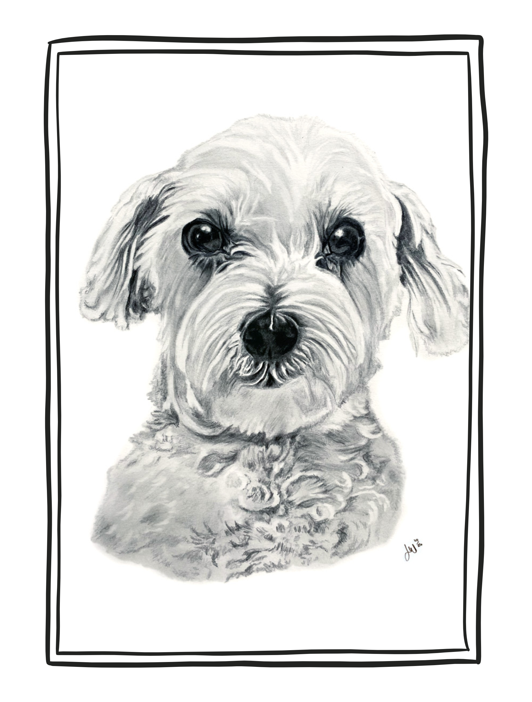 Portrait of Poppy