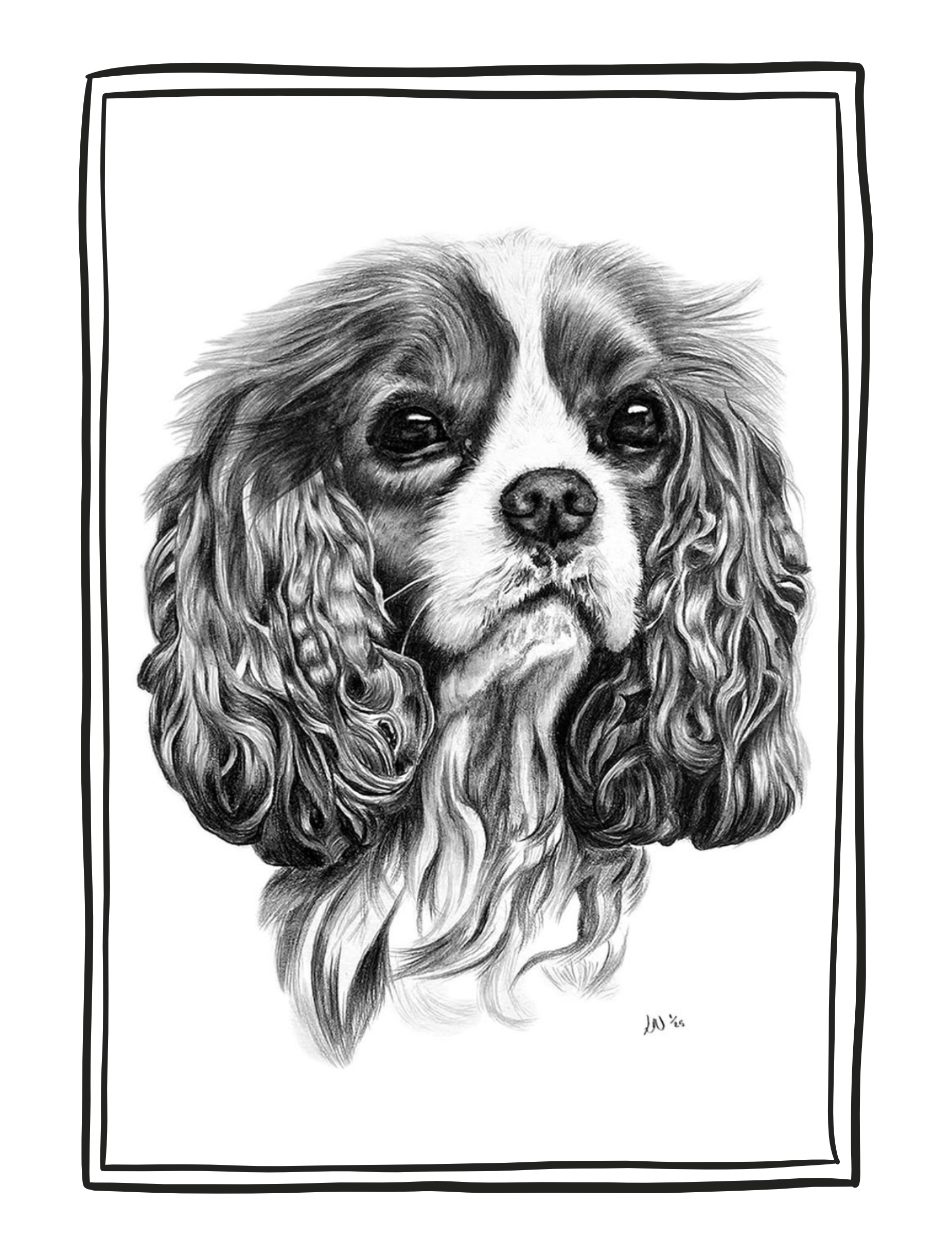 Portrait of Harry
