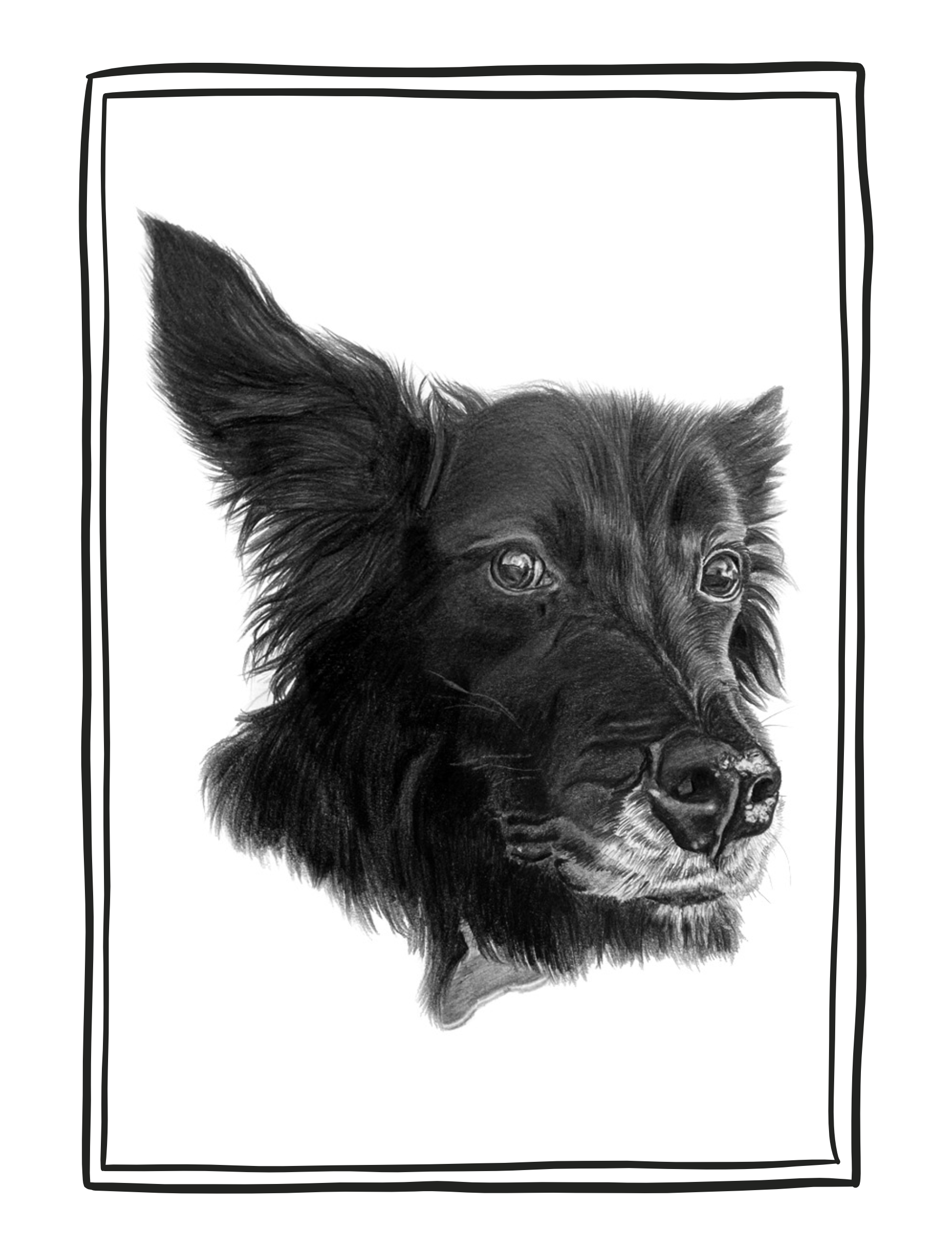 Portrait of Indy