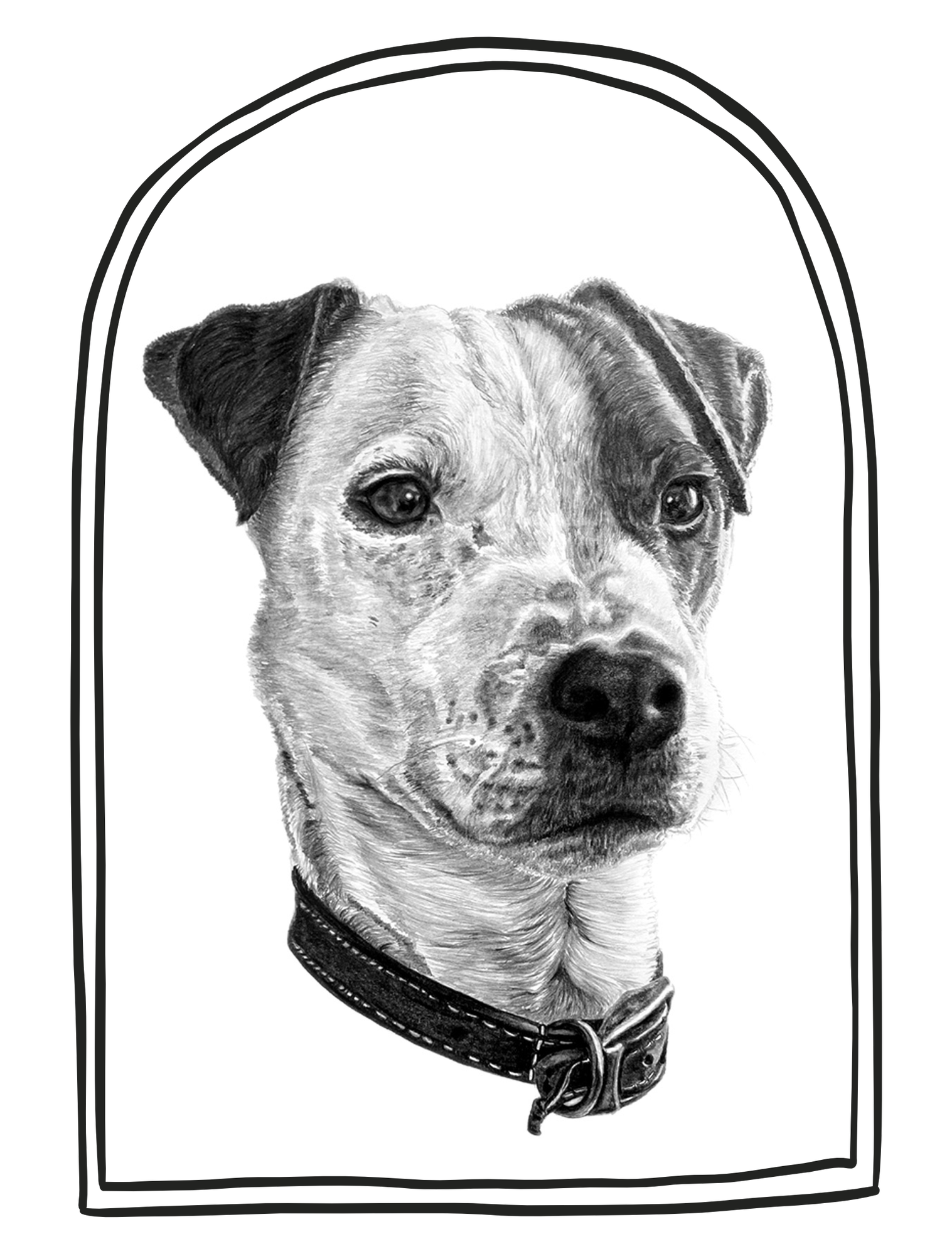 Portrait of Staffy